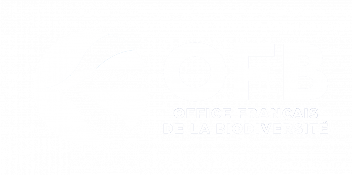 OFB